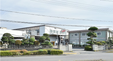 Head Office